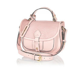 Pink leather snake satchel £45.00  From River Island Update any outfit with a chic colour pop with this light pink leather satchel. Featuring a snake-textured flap over closure, gold tone hardware and chic screw stud fastenings. 